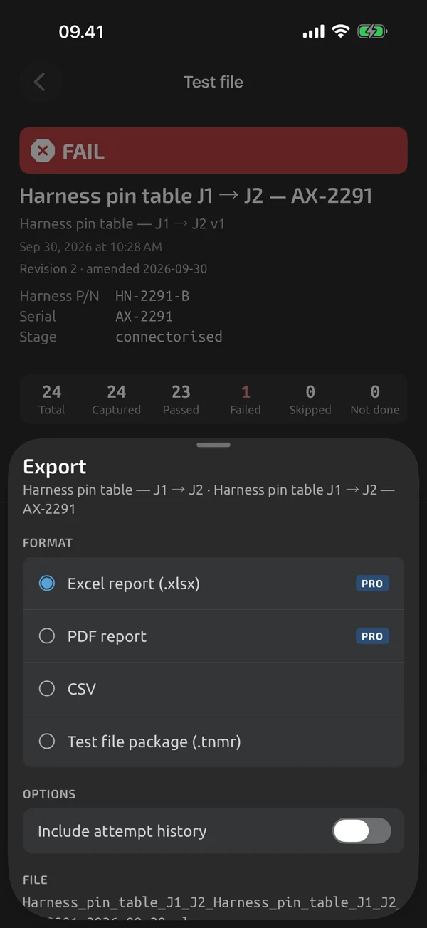 Export sheet in TestNMeasure: the export formats with Excel selected